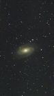 Bodes Galaxy M81.jpg